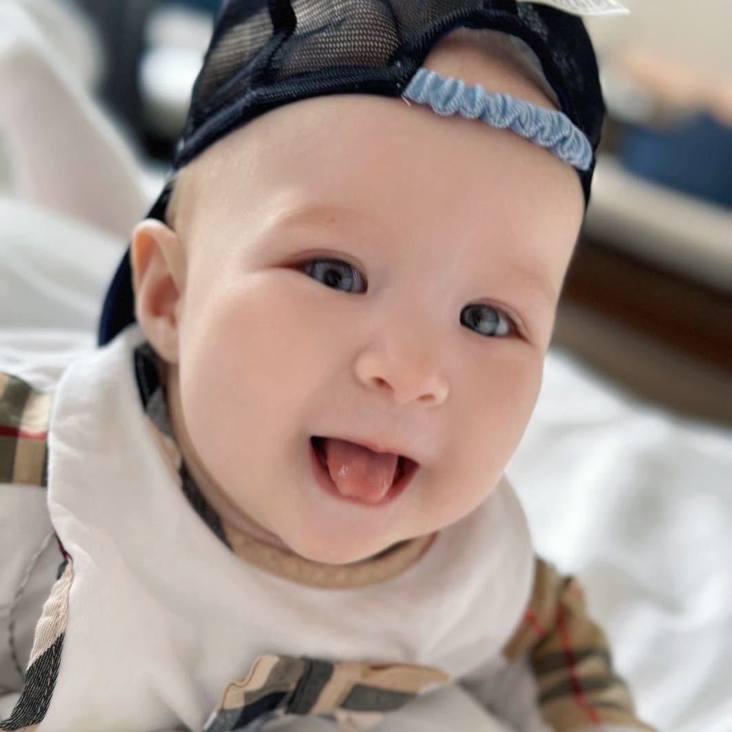 混血王子小核桃