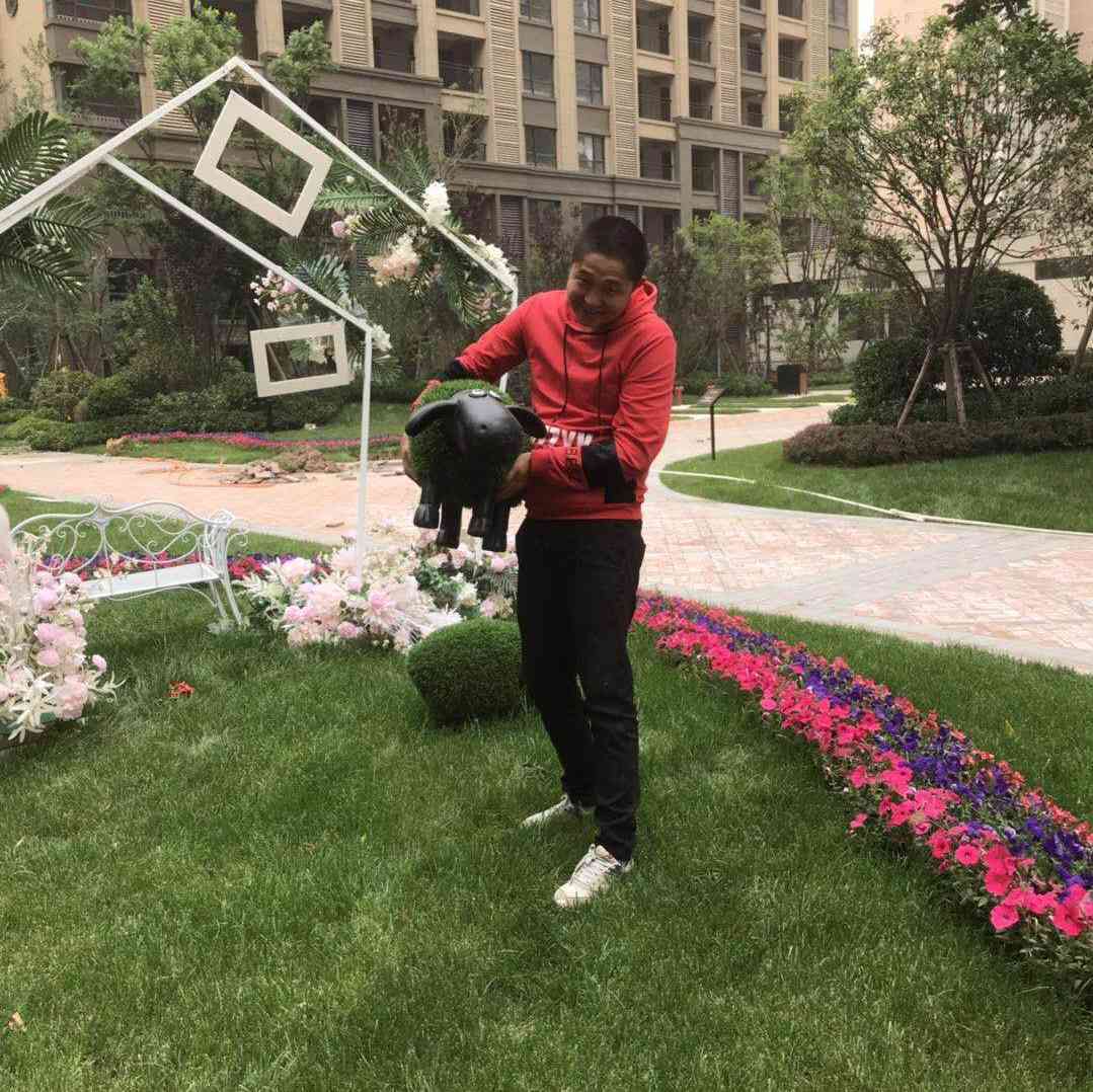 黄懂小狄