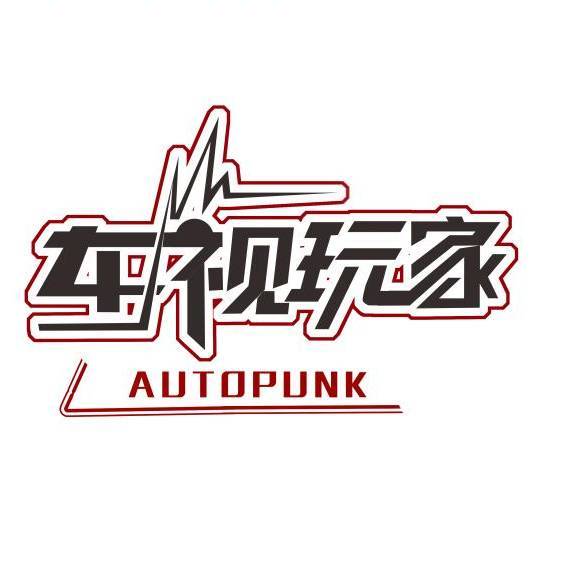 车视玩家