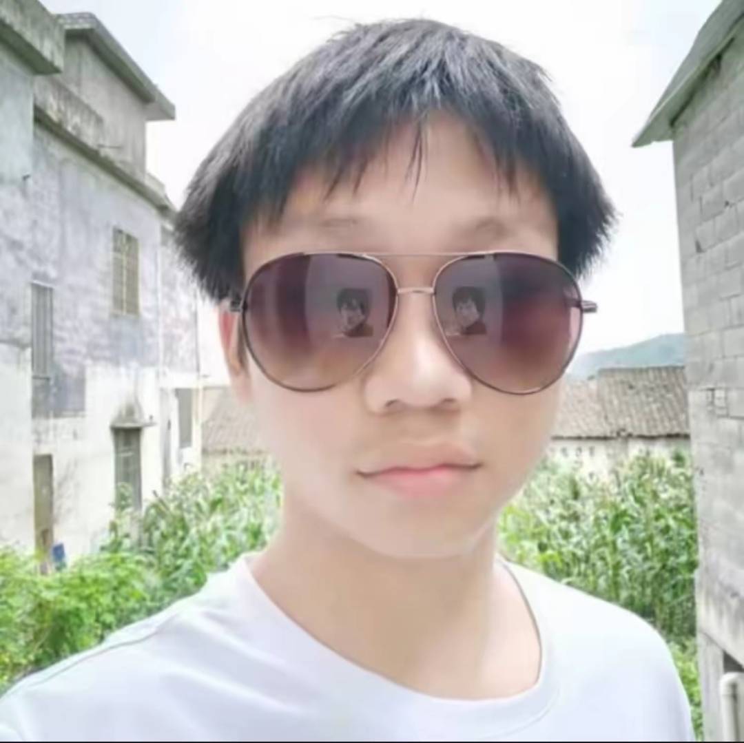 川虎李小龙
