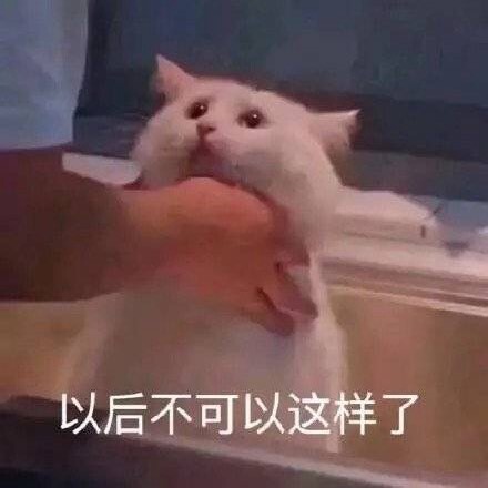 集帅集合处