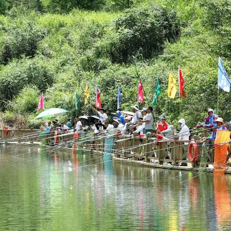 良子钓鱼佬