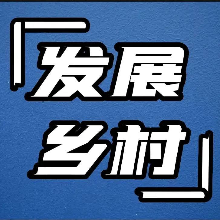 我为乡村添砖加瓦