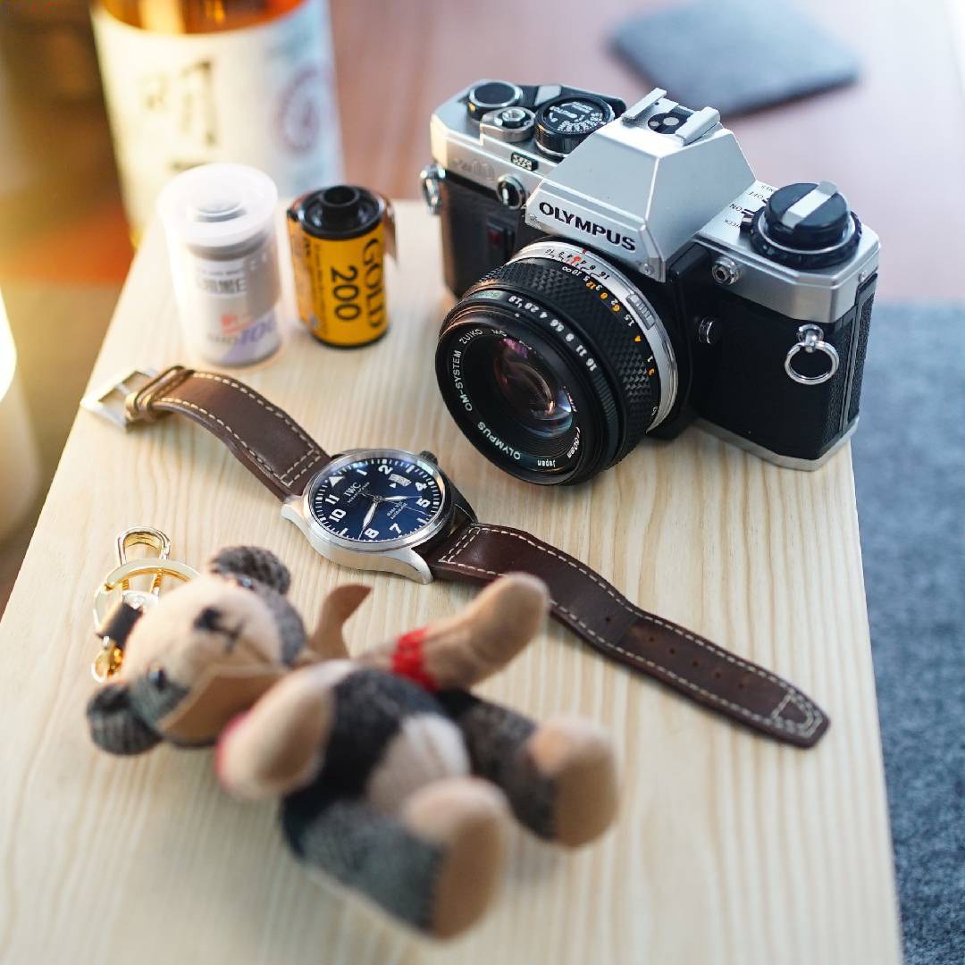 迈克船长在寻宝