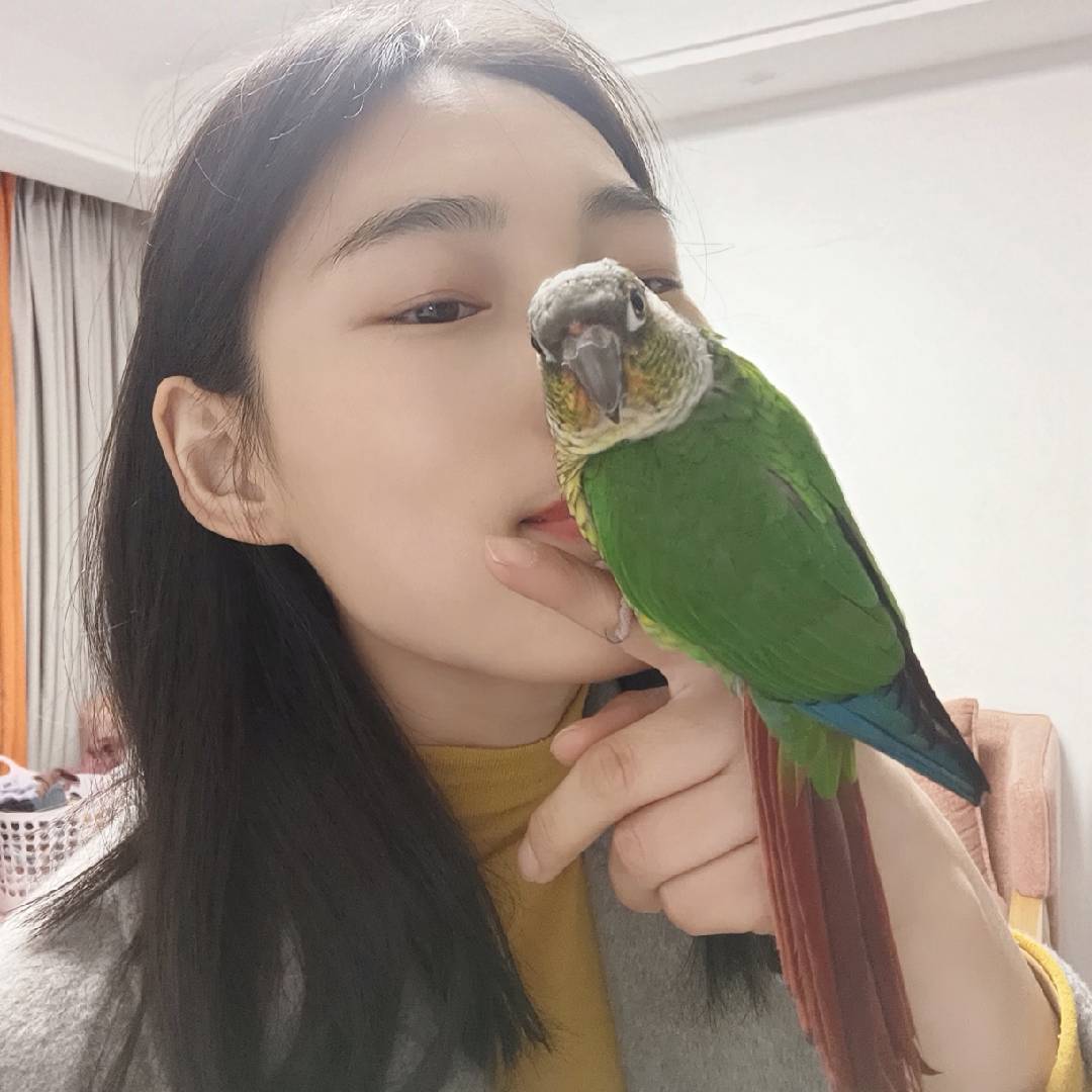 张倩影11