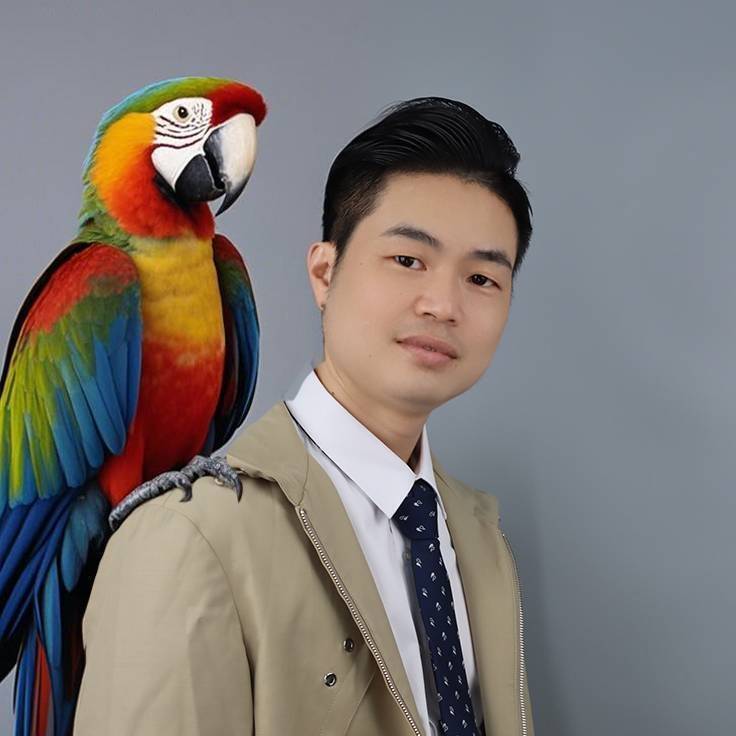 鹦鹉一哥许飞
