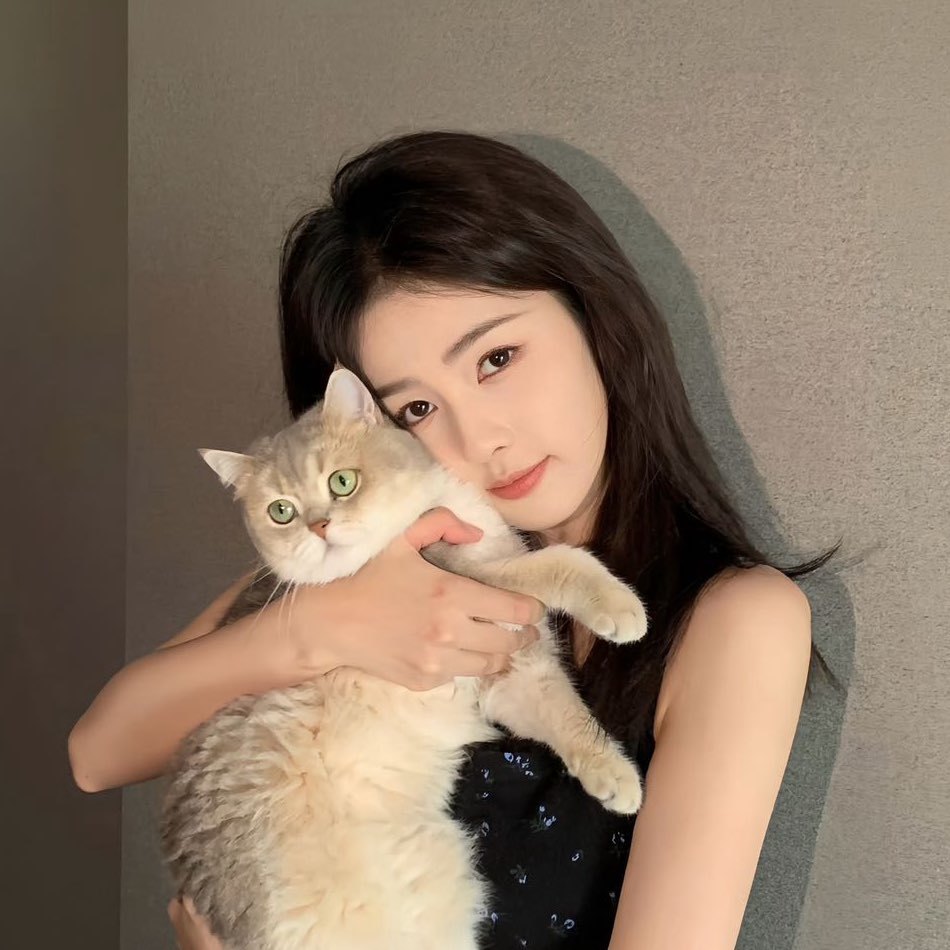 今天小鹿加鸡腿了吗