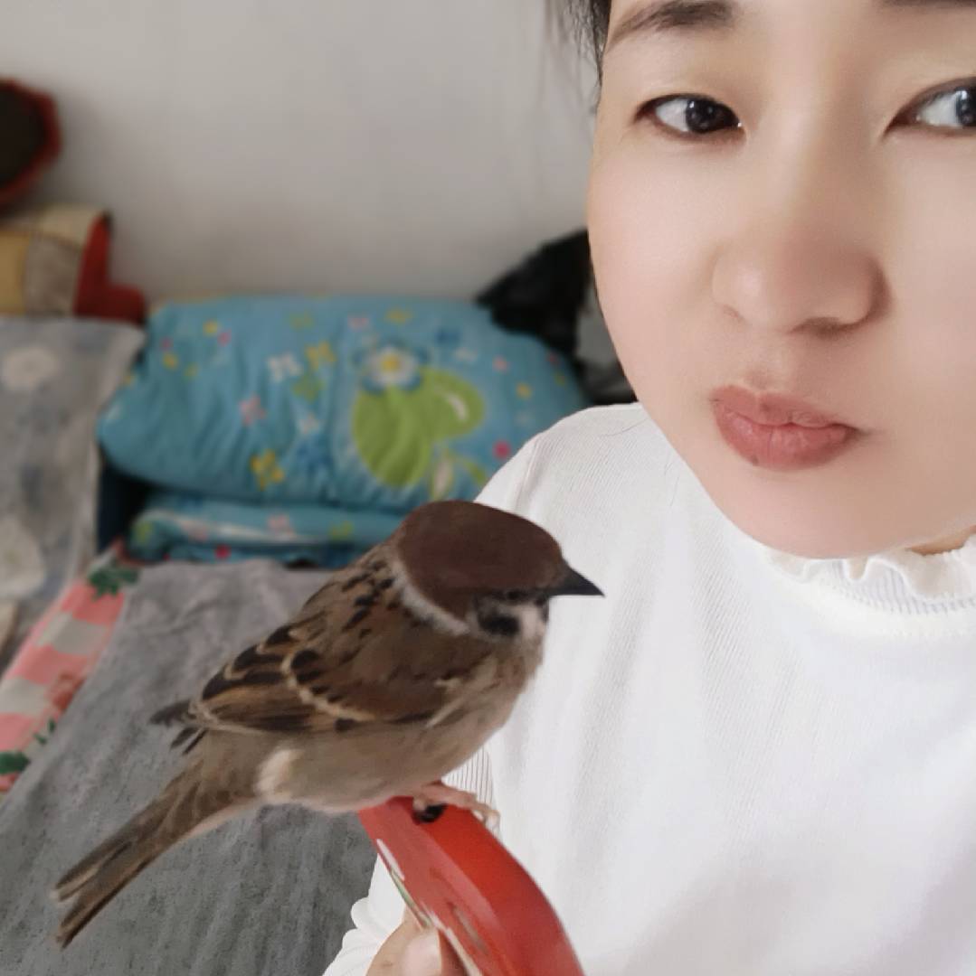 孟菲尔