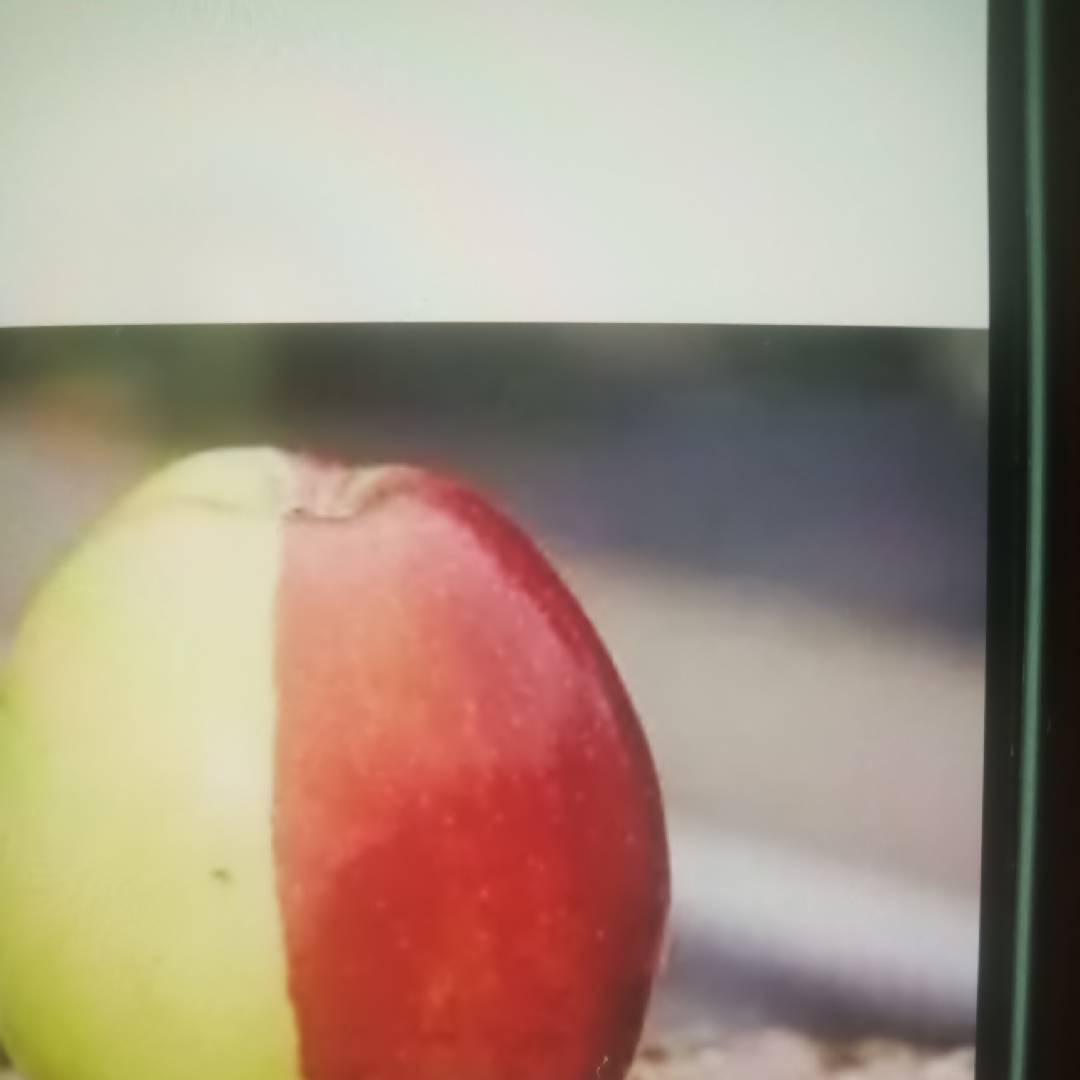 王大发爱健身5