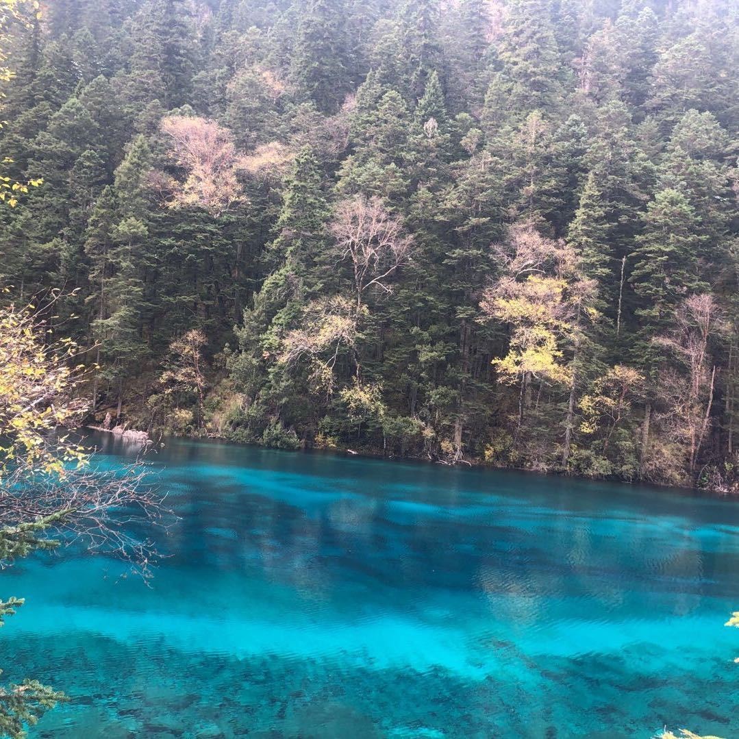 协和儿科李欣教授