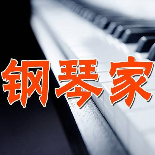 钢琴技巧师