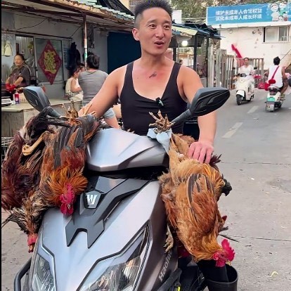 浪子快刀手鸡哥