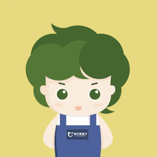 现代菜篮子