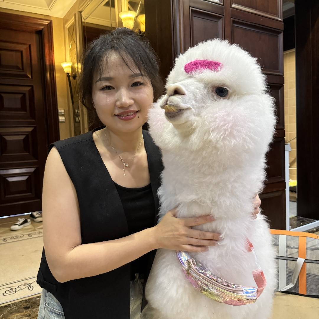 羊驼乐乐妈小号