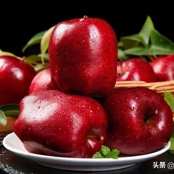 芮莹鲜果园
