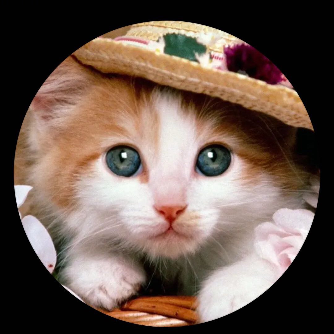 lovepets001