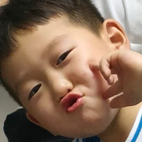 程宝成长记17