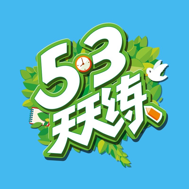 53天天练