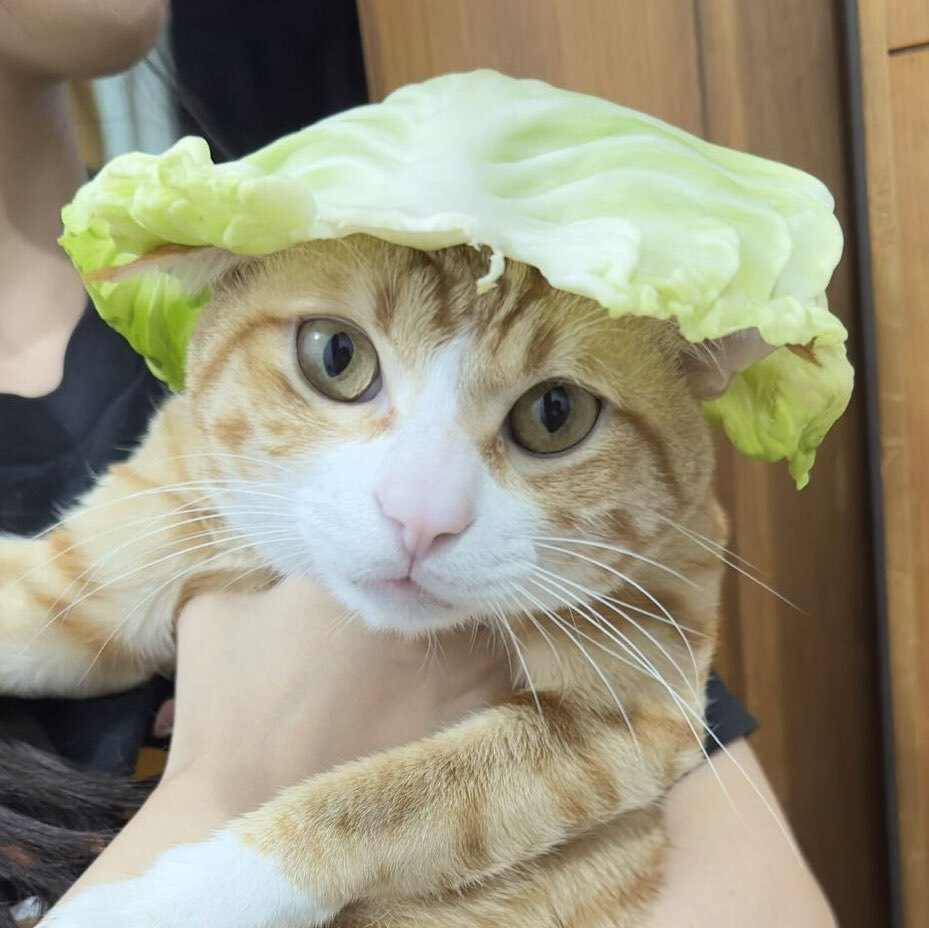 咪小咪子