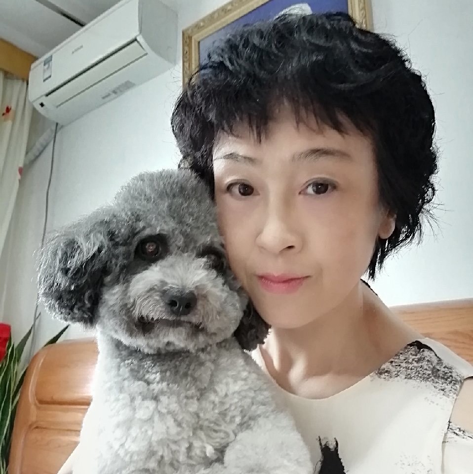 春华和孙家毛孩宠物用品