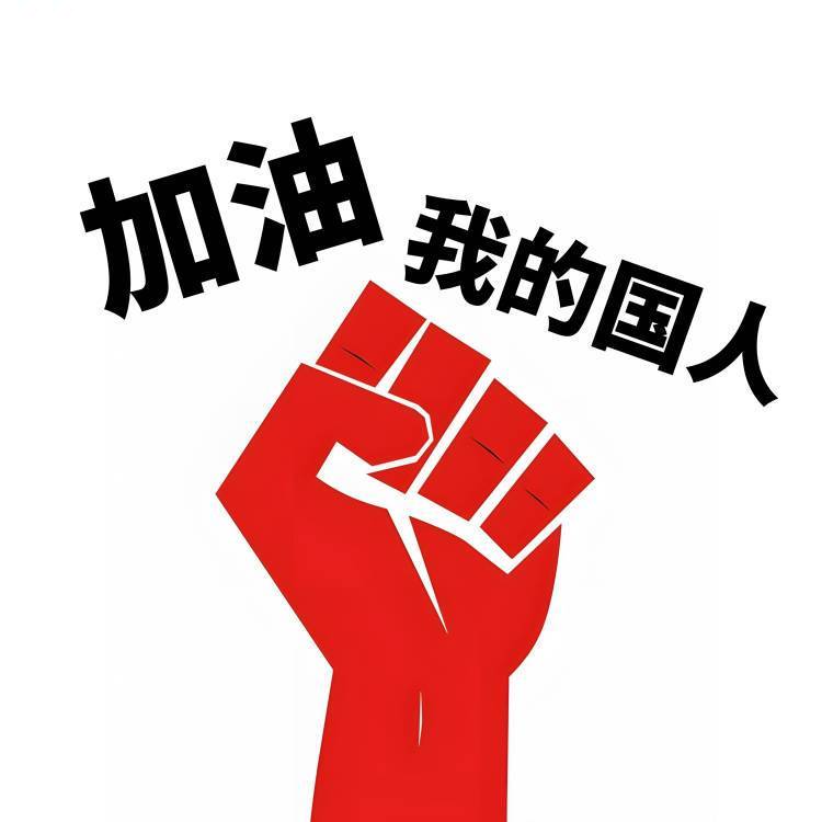 加油我的国人CN