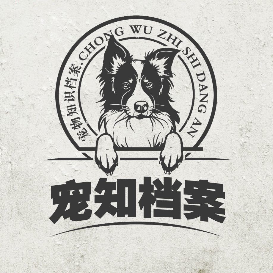 宠知档案