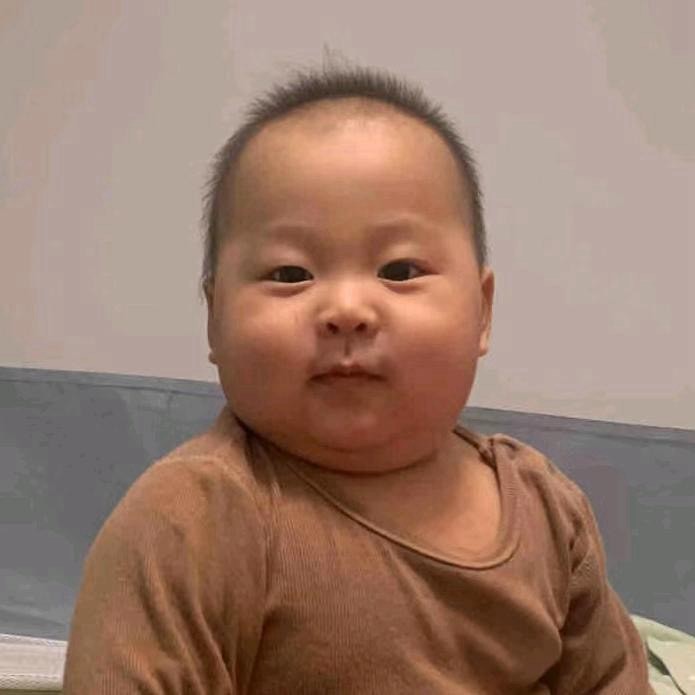 鱼丸崽崽来了