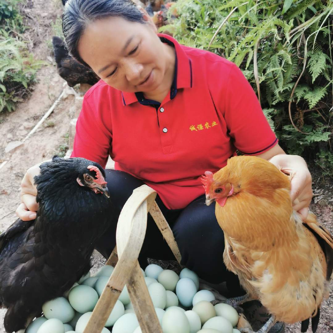 田妈妈的生态农场