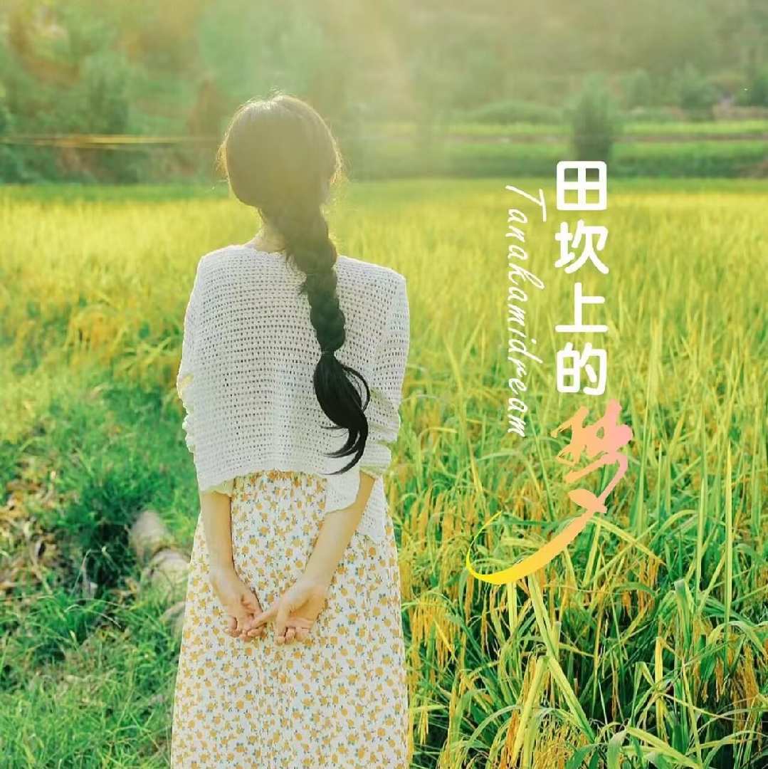 田坎上的梦9