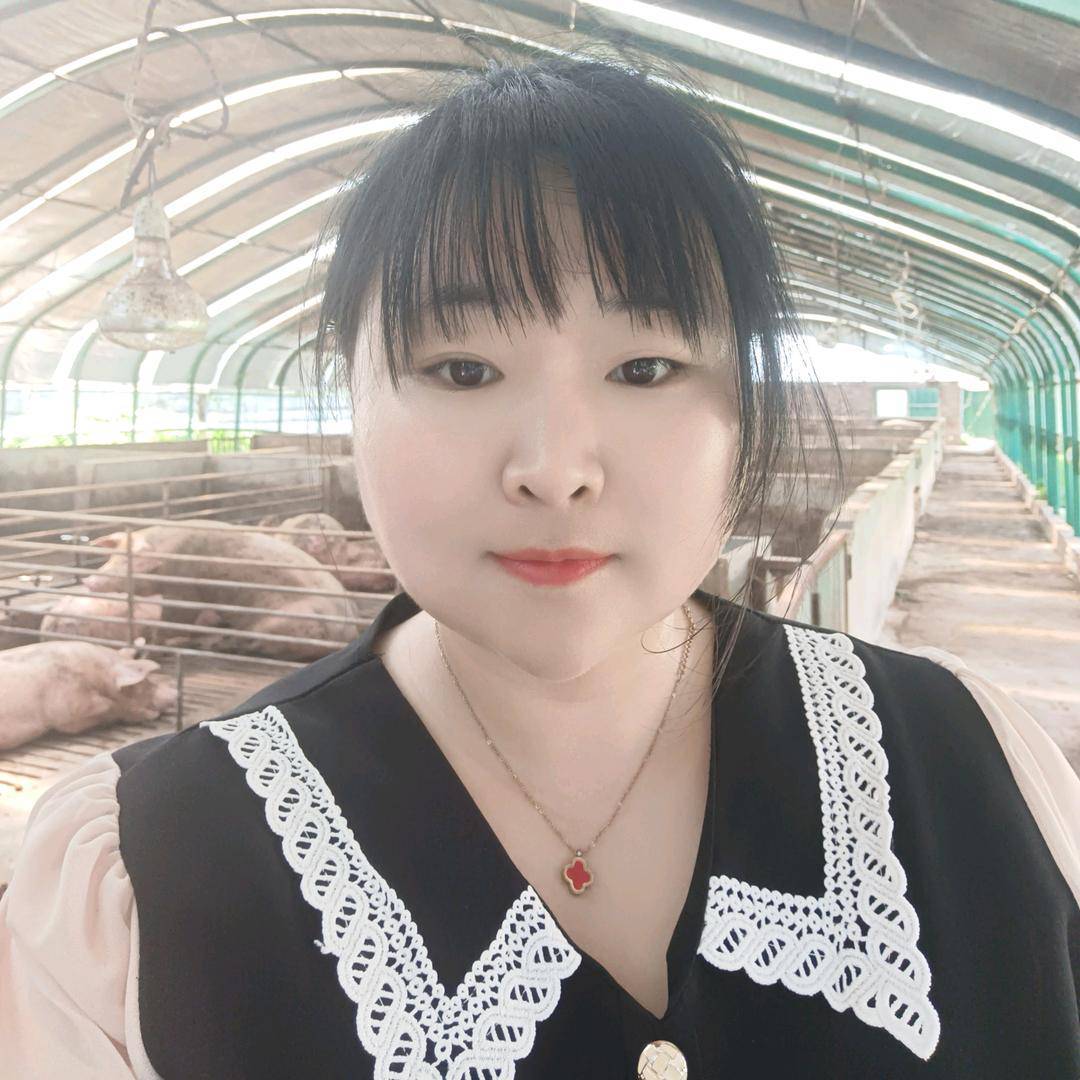 小悦聊养猪