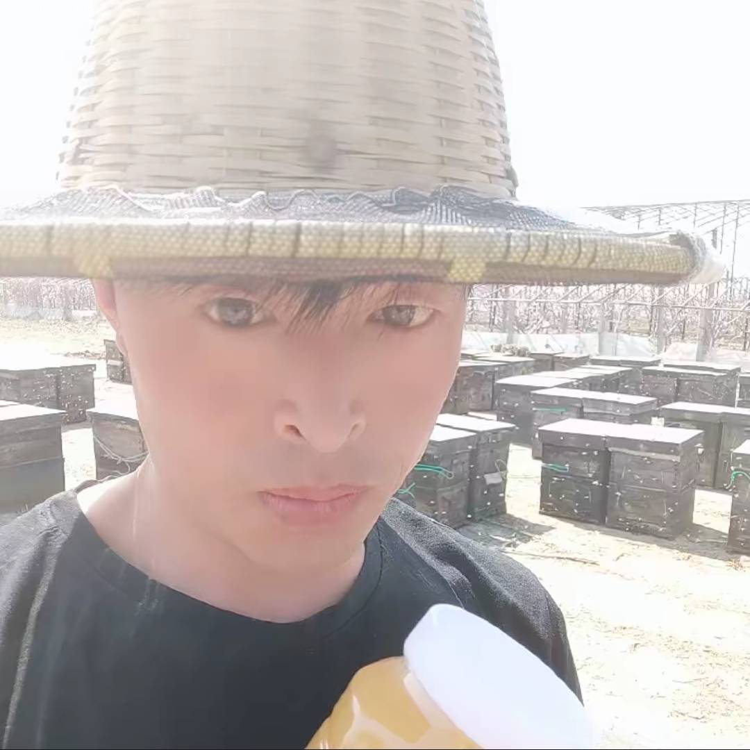 蜂哥看世界