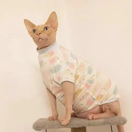 虎三养猫日记