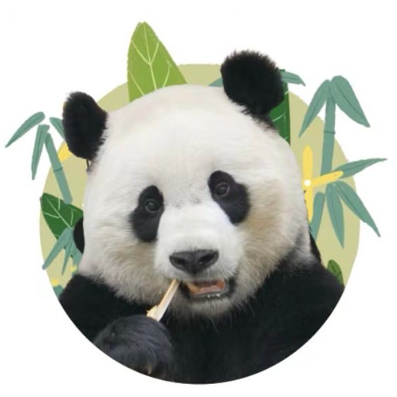 视频号萌宠排行榜第26名undefined,新榜指数513.4,新增作品数1,总推荐数368,平均推荐数368,最高推荐数368