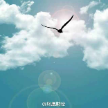 心脏外张玉海