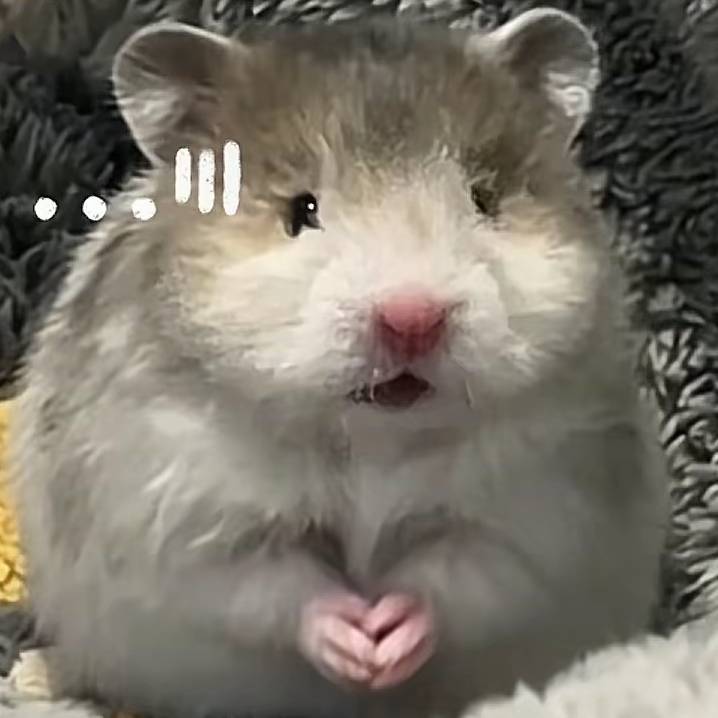 ak鼠哥