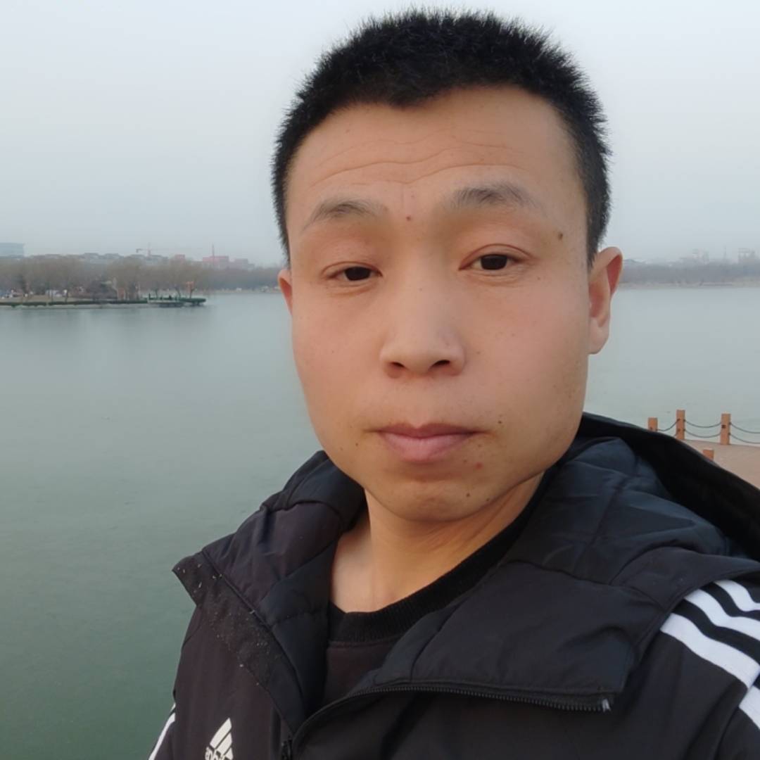 粮食行情小飞