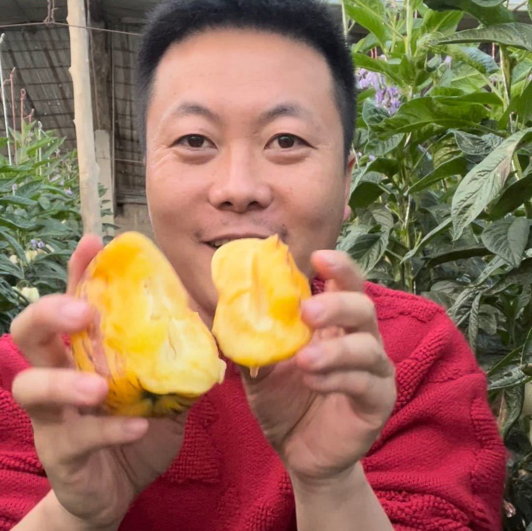 农村娃旺仔农产品