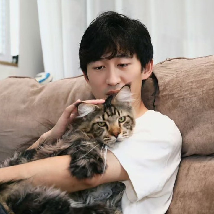 阿岳的缅因猫德文猫舍
