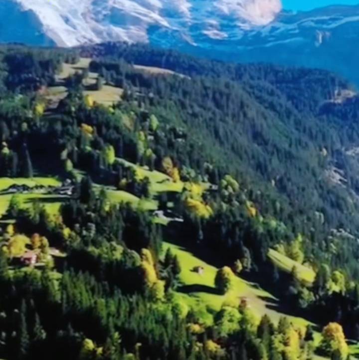 中老年生活讲堂