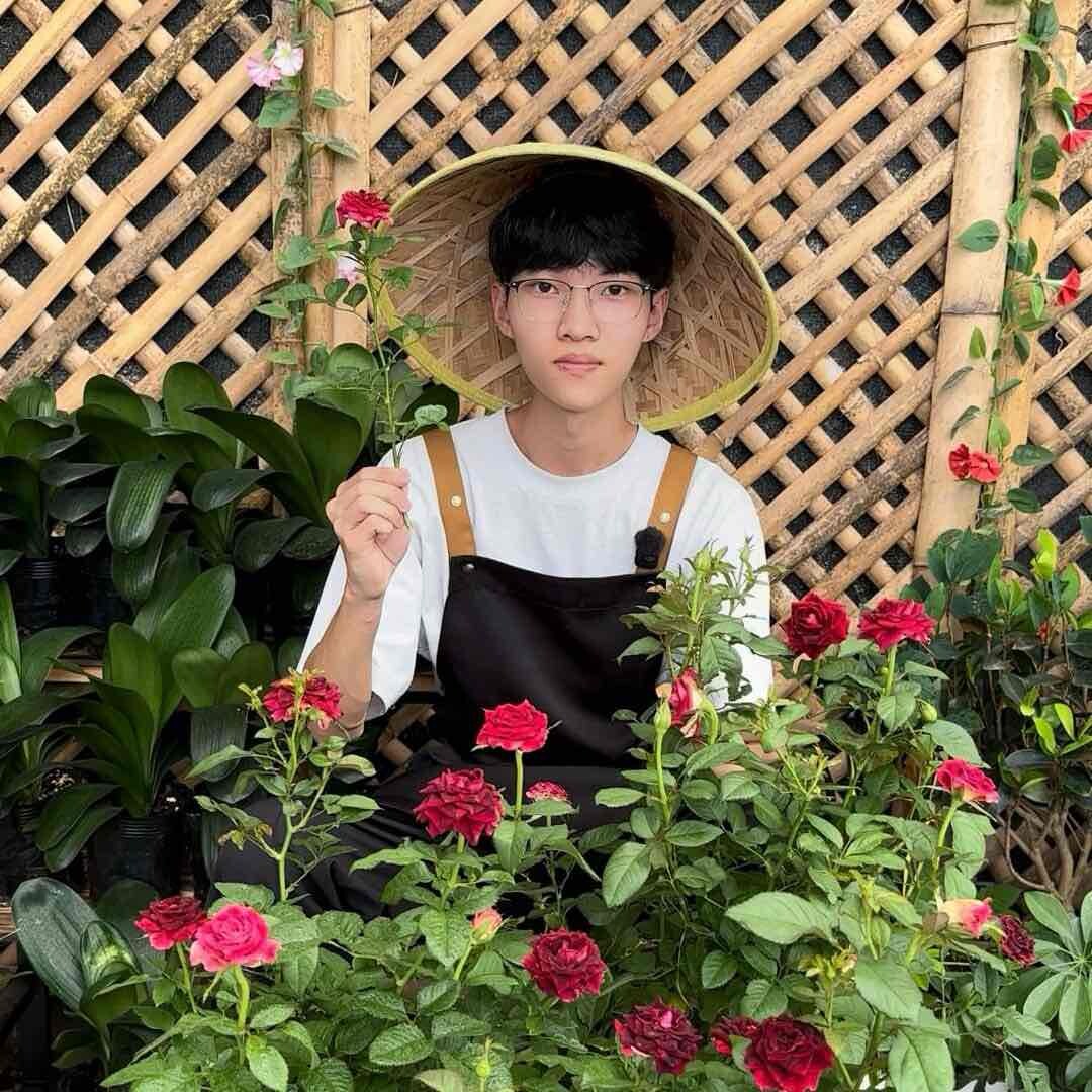 小李绿植L