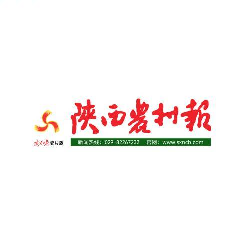 陕西农村报