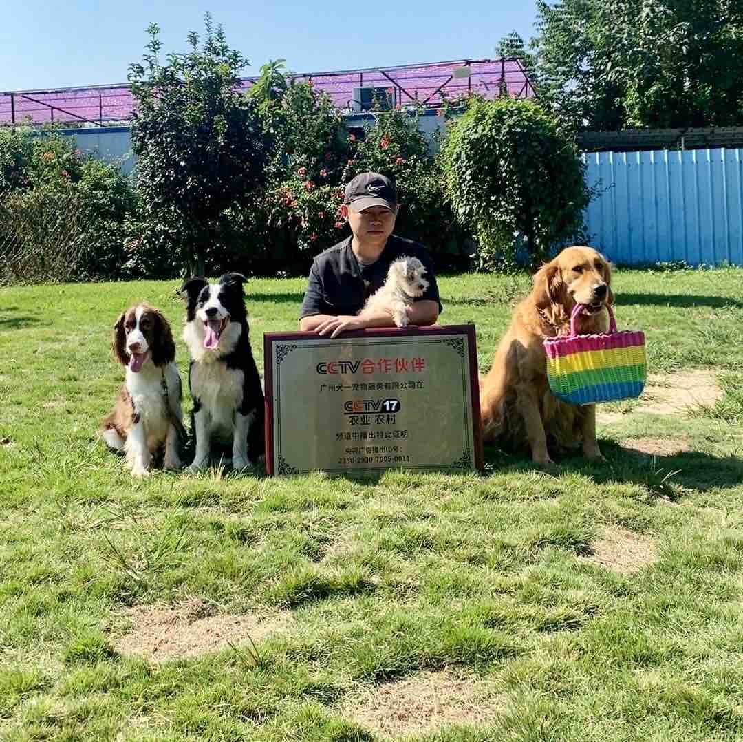 广州犬一宠物训练