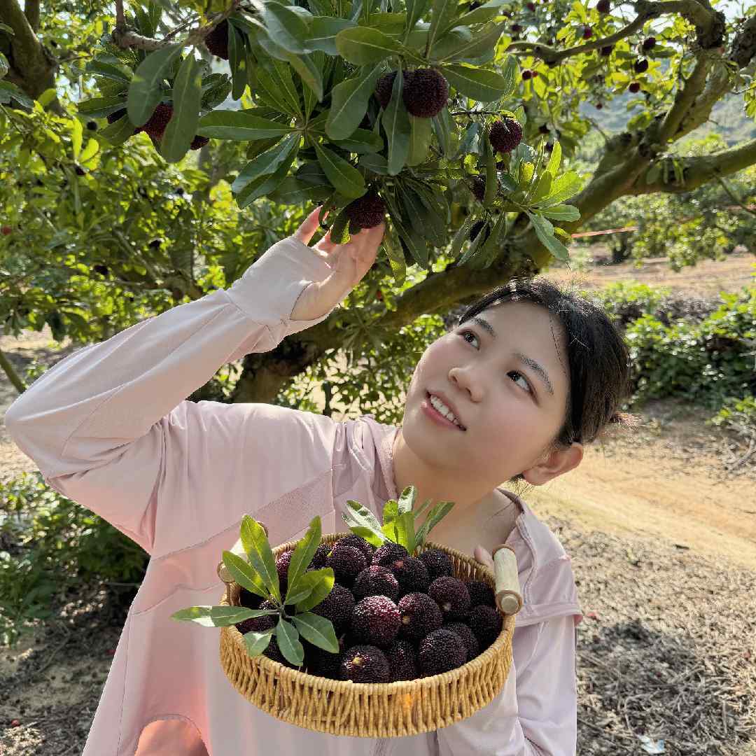 东东杨梅果园