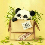 摄影鹿6
