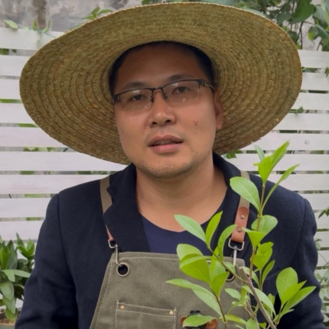 林哥种花草