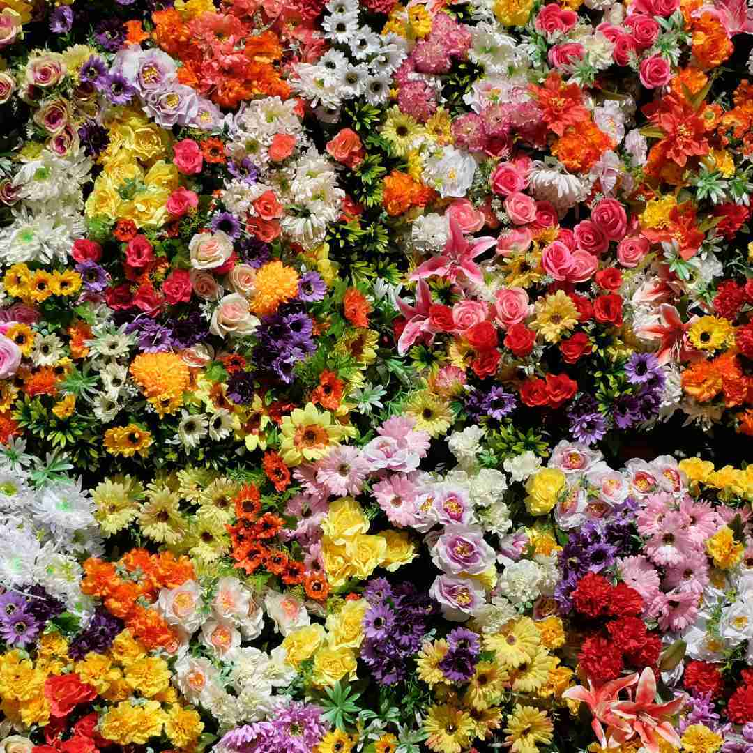 只祝春风年年来