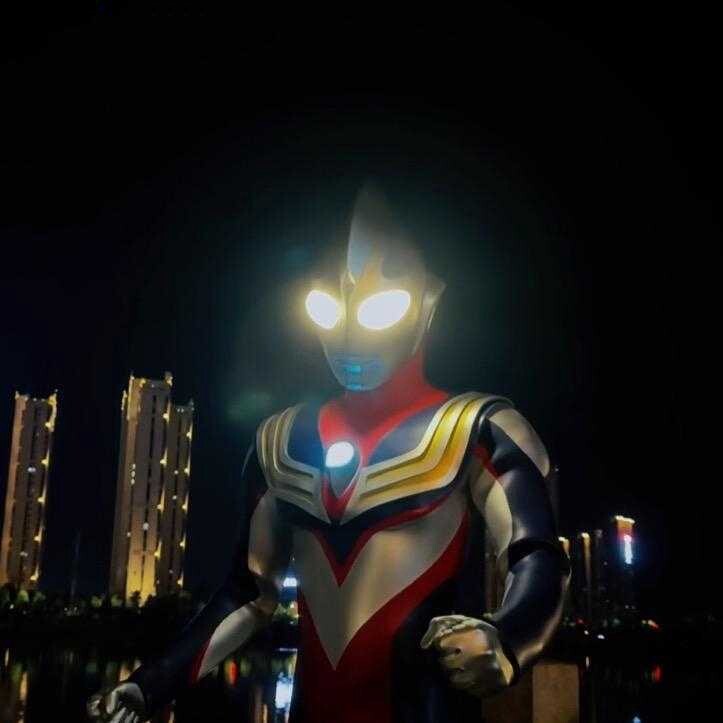 一只迪迪迦
