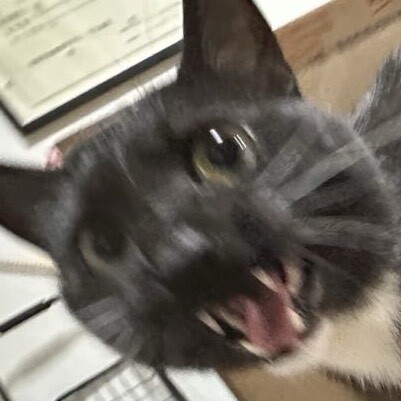 ToastToastovo