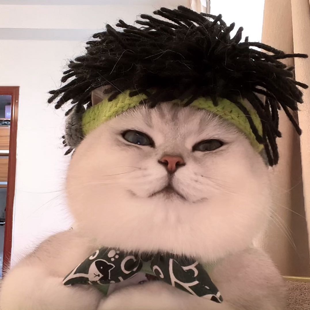 看有大灰机哦