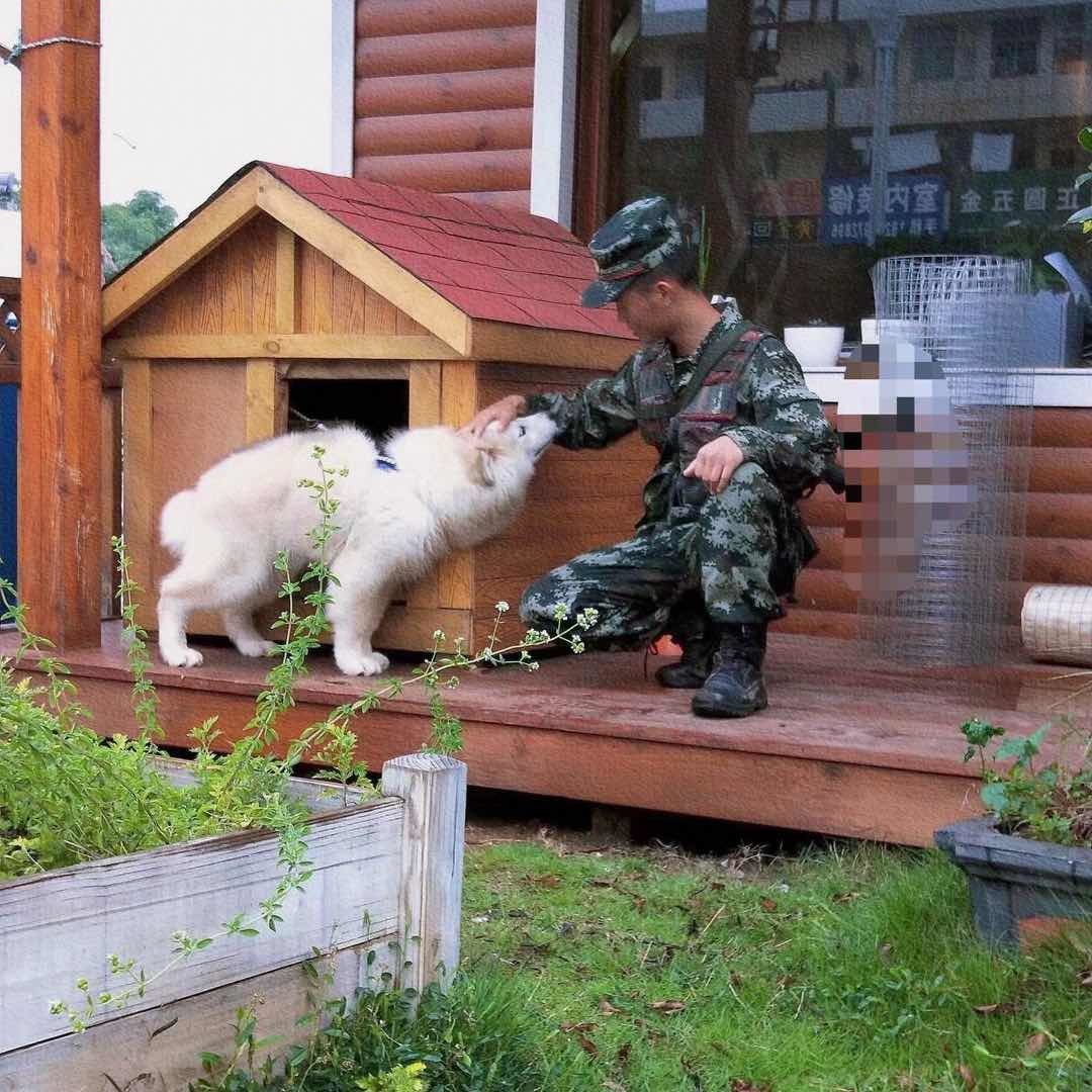 狗与铁柱